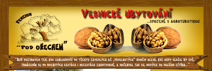 Vesnick ubytovn